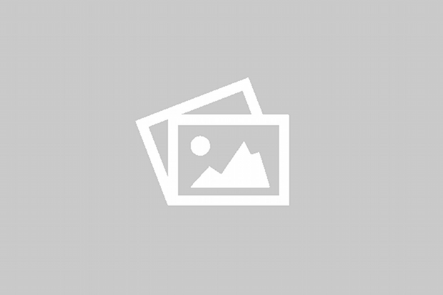 Biweekly Disposable Contact Lens